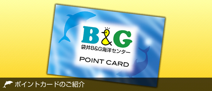 main_info